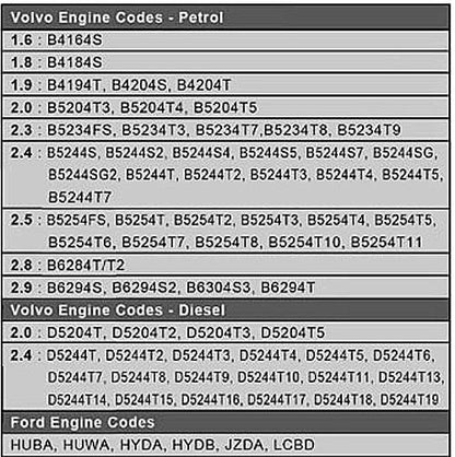 Petrol and Diesel Crankshaft Holding Tool for Swedan and Amarican Car (087-140703)