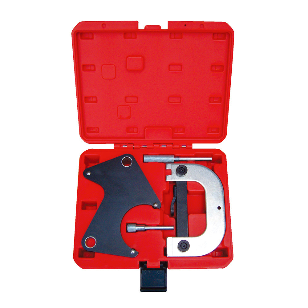 Engine Timing Tool Set - RNAULT